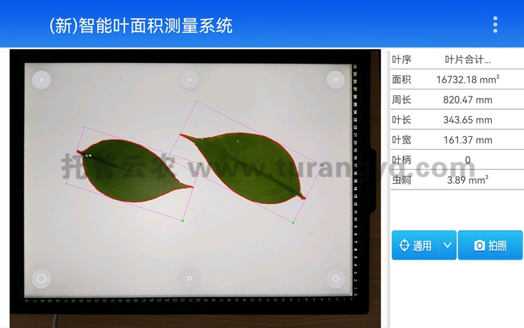 拍照式葉面積測(cè)量?jī)x軟件界面圖